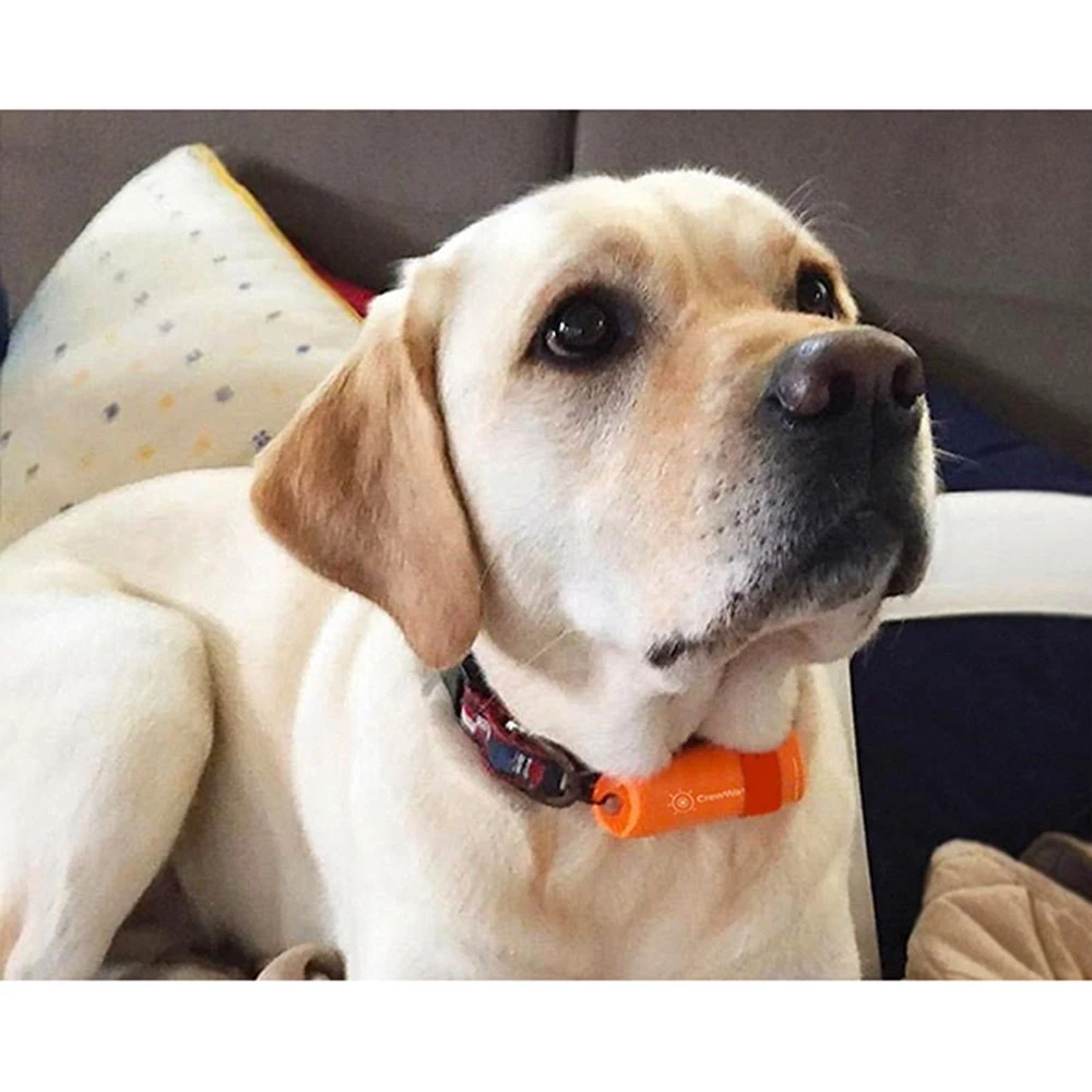 Weems & Plath Weems & Plath CrewWatcher Crew Overboard Alarm System 5 Weems & Plath Weems & Plath CrewWatcher Crew Overboard Alarm System - Image 5